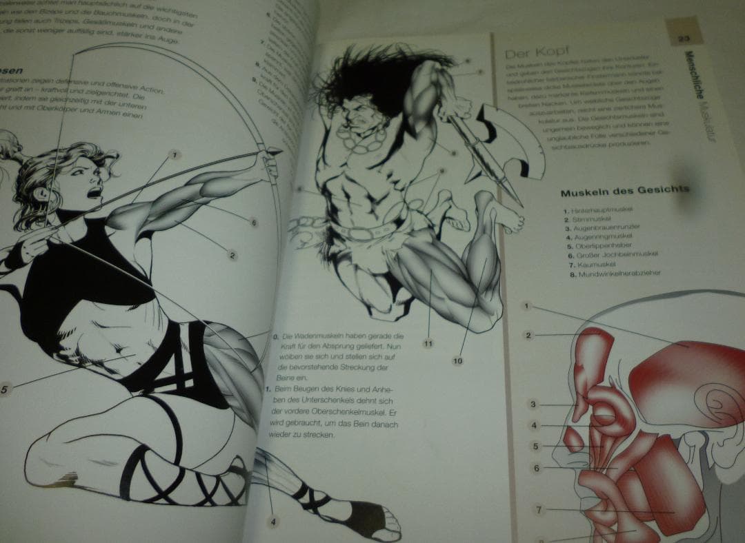 洋書 Anatomie fuer Fantasy-Zeichner