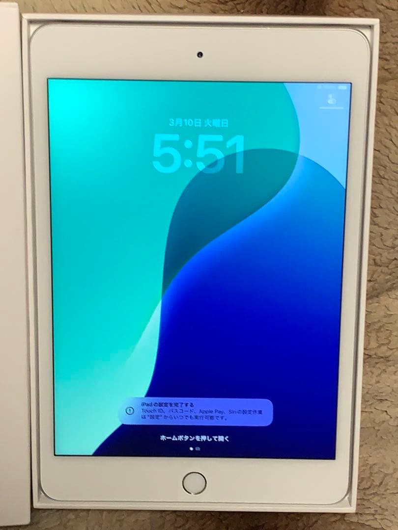 iPad Mini 第5世代 WiFi 256G カバー付　通電済み動作確認済み