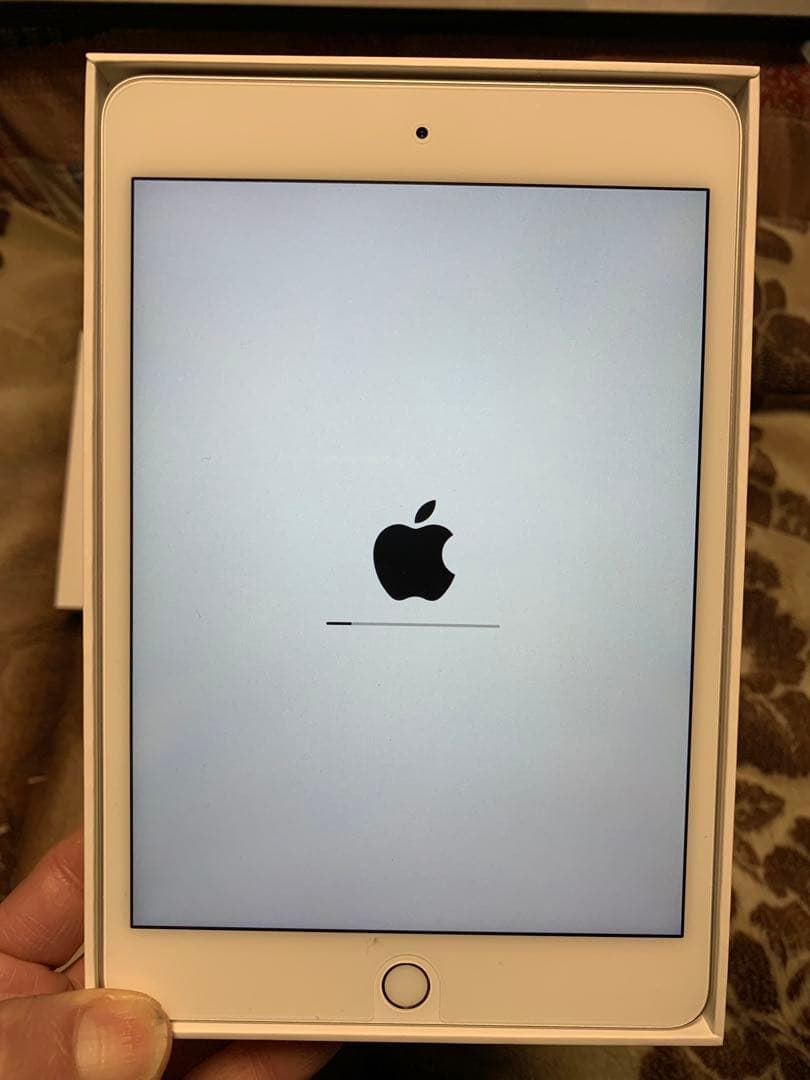 iPad Mini 第5世代 WiFi 256G カバー付　通電済み動作確認済み
