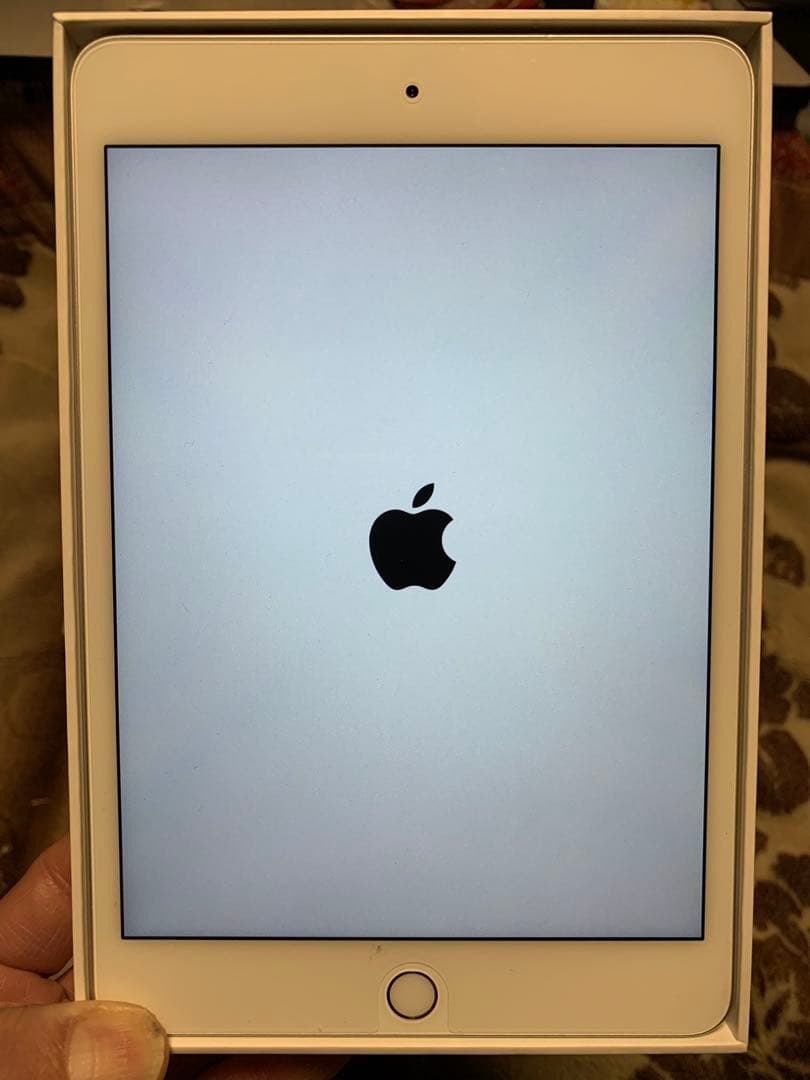 iPad Mini 第5世代 WiFi 256G カバー付　通電済み動作確認済み
