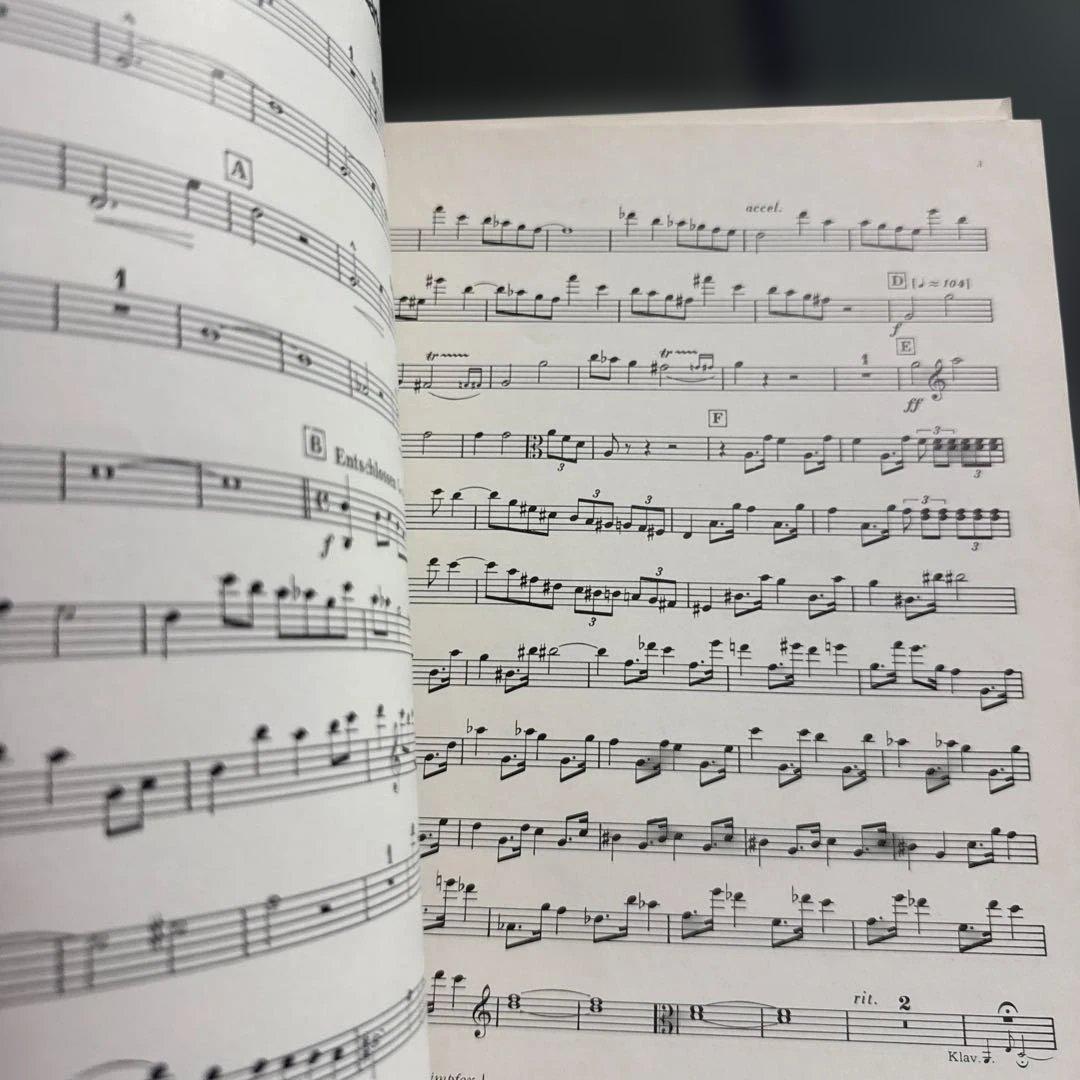 アート・デザイン・音楽 Gustav Mahler Klavierquartett (1876)