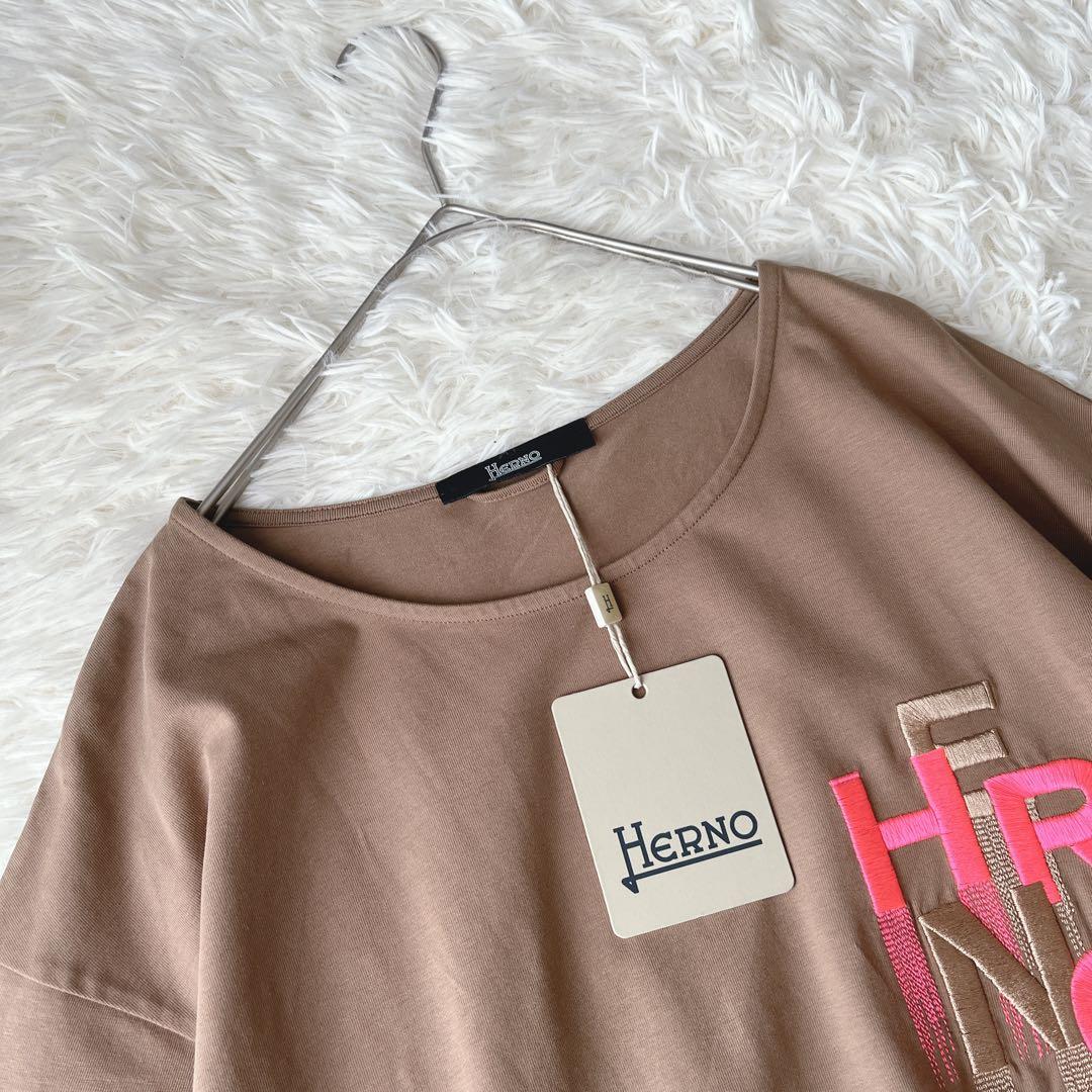 【新品タグ付き】Herno ブラウン ロゴグラフィックTシャツ 半袖　42サイズ