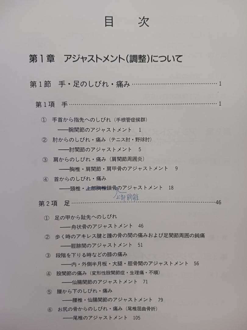 目でみる手技療法の複合テクニック　安達和俊DC著