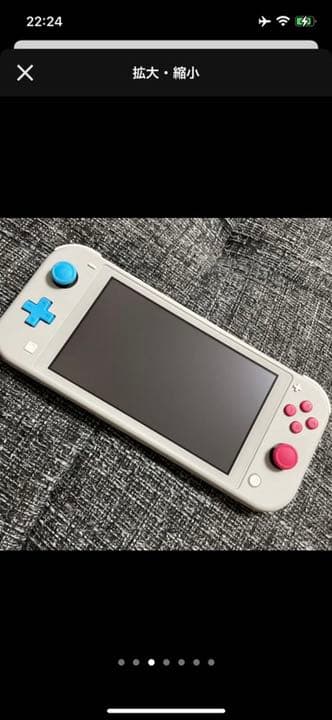 Nintendo Switch NINTENDO SWITCH LITE ザシ…