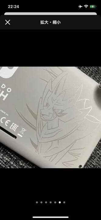 Nintendo Switch NINTENDO SWITCH LITE ザシ…