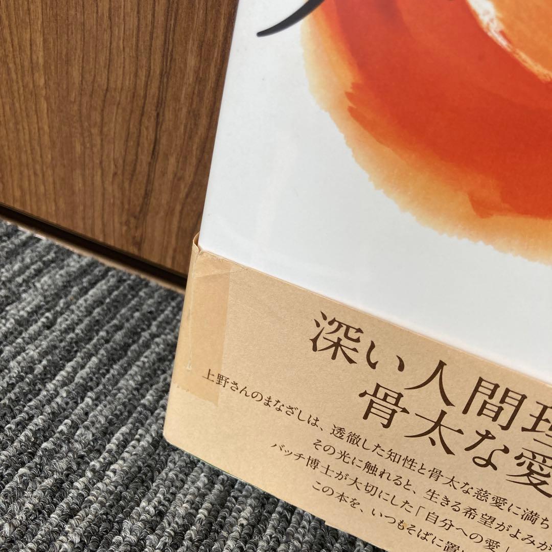 フラワーエッセンスヒーリング バッチの花療法光の中へ