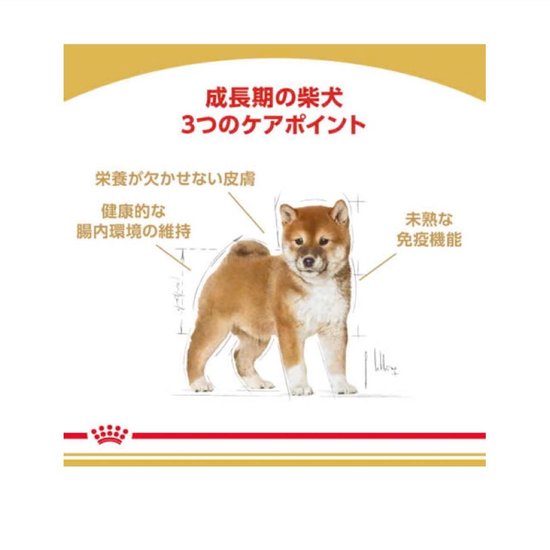 むくママさま専用　柴犬子犬3kg✖️4袋　 新品未開封