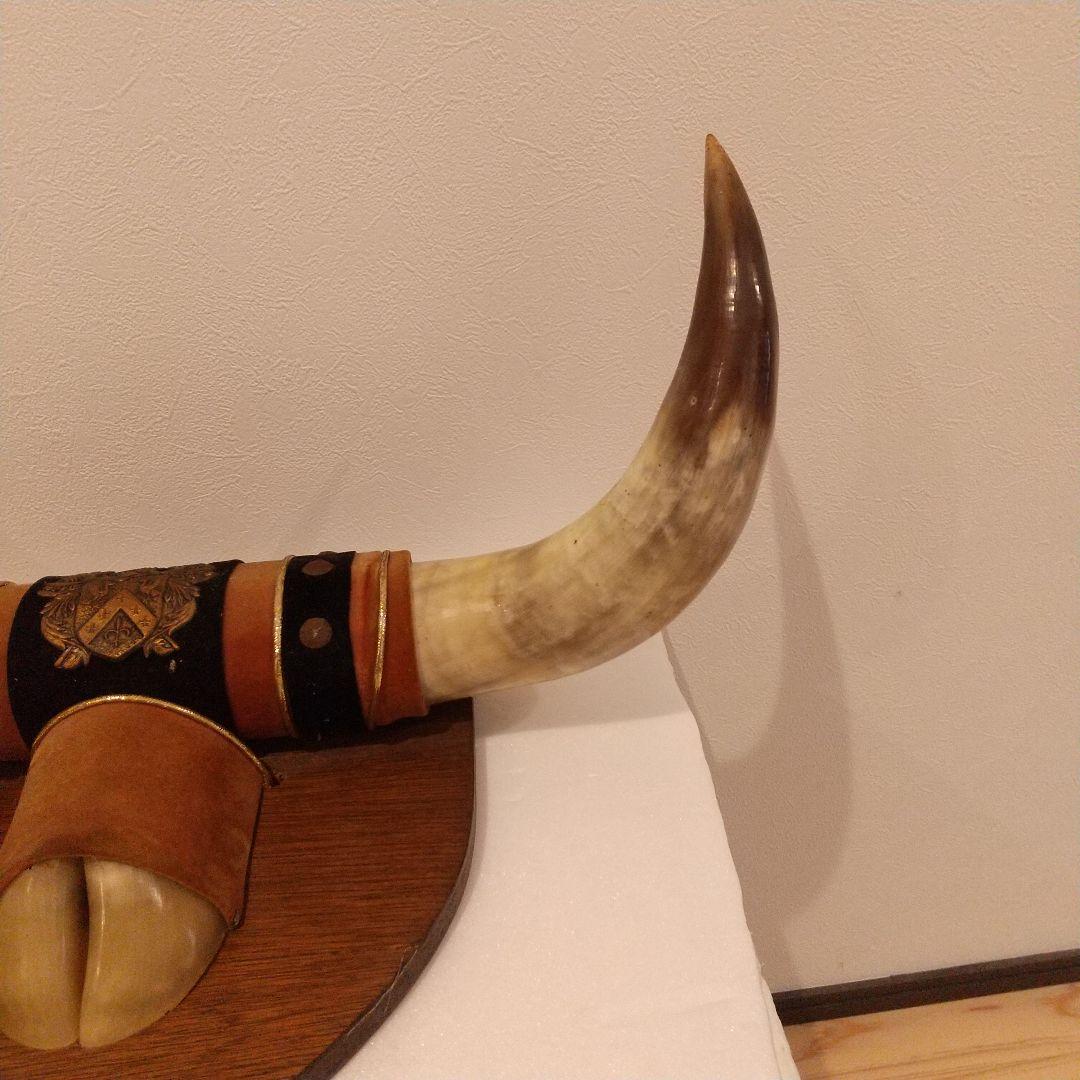 ✨美品✨ リアル牛角 ウォール オブジェ　壁掛け