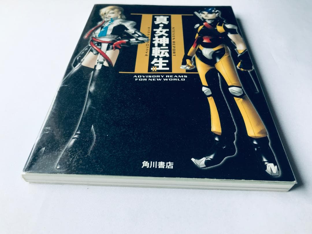 真・女神転生Ⅱ 2 キャラクタープロファイル STEVEN REPORT PS
