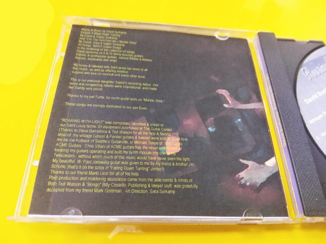 David Surkamp – Roaring With Light