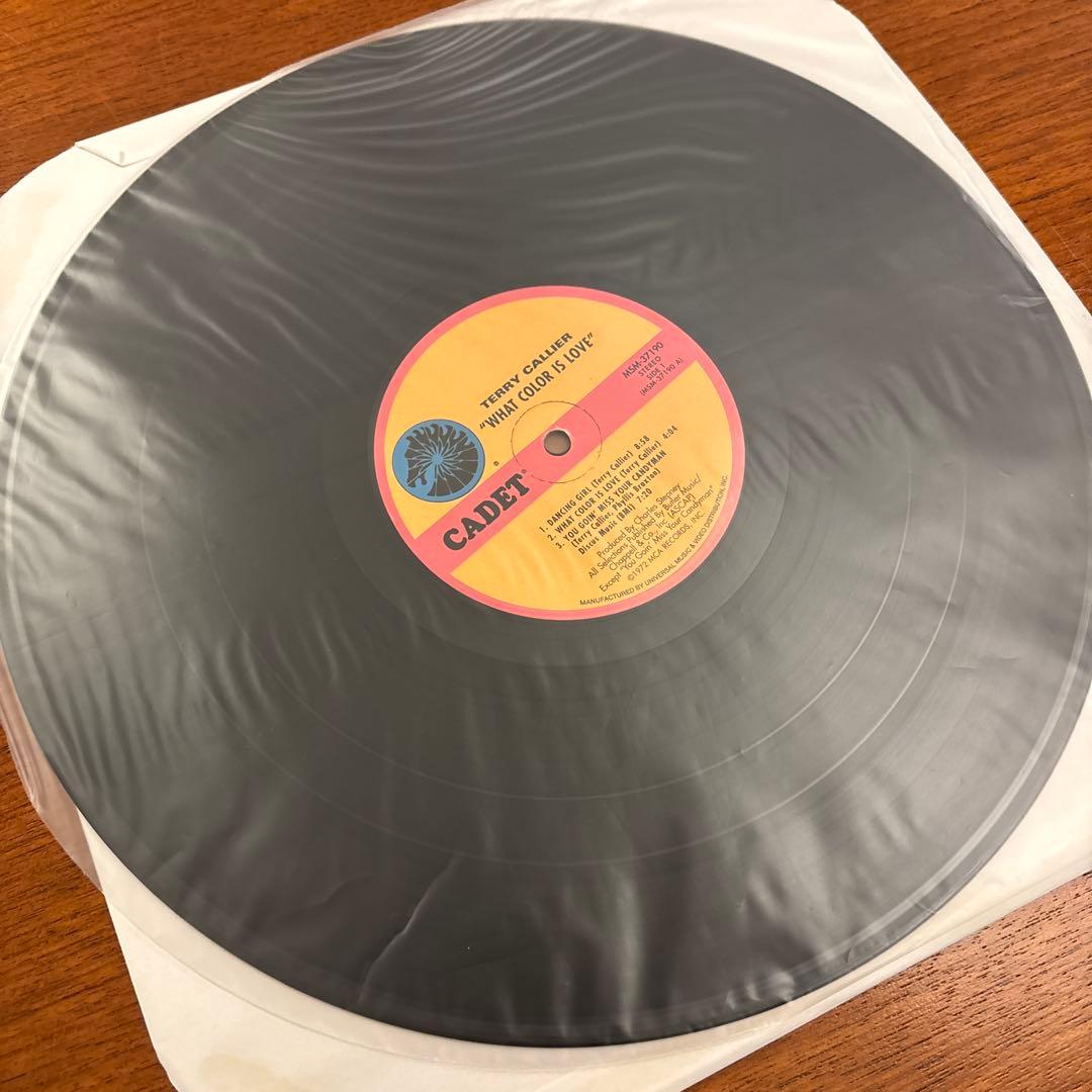 Terry Callier What Color Is Love LP レコード