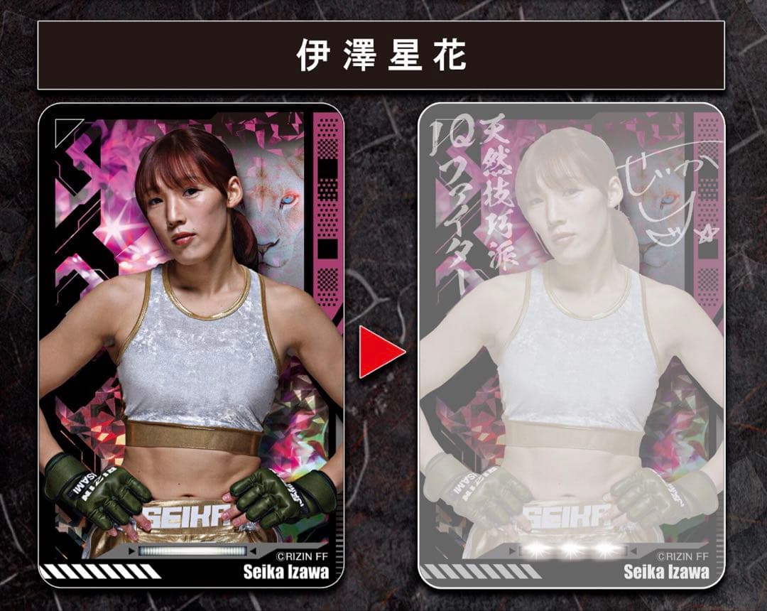 RIZIN クリアパスケース