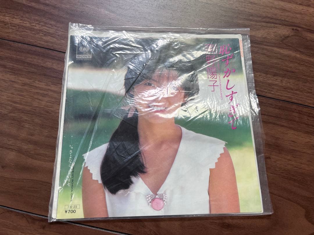 南野陽子EP盤 10枚セット