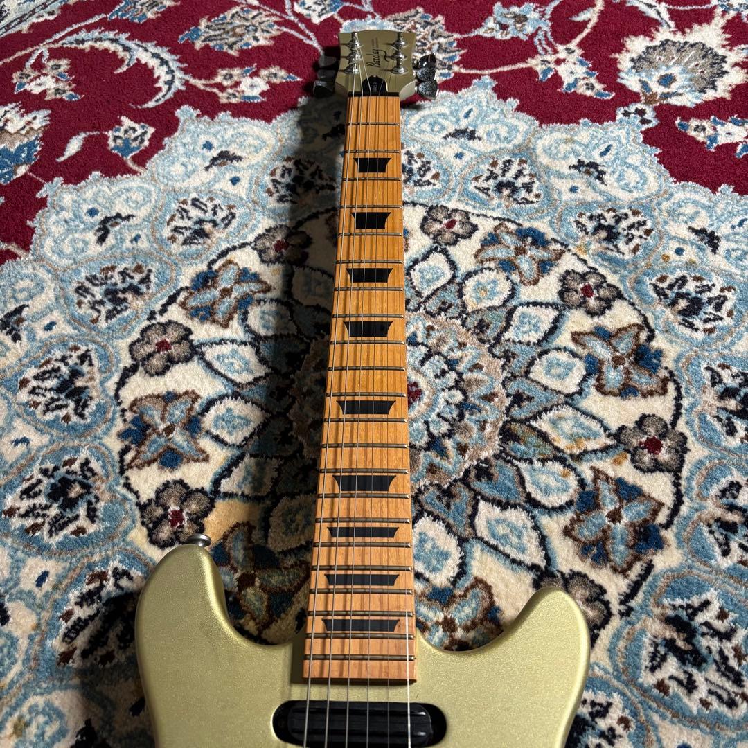 Barclay GLAY TAKURO 使用タイプ　ダブルカッタウェイ　ギター