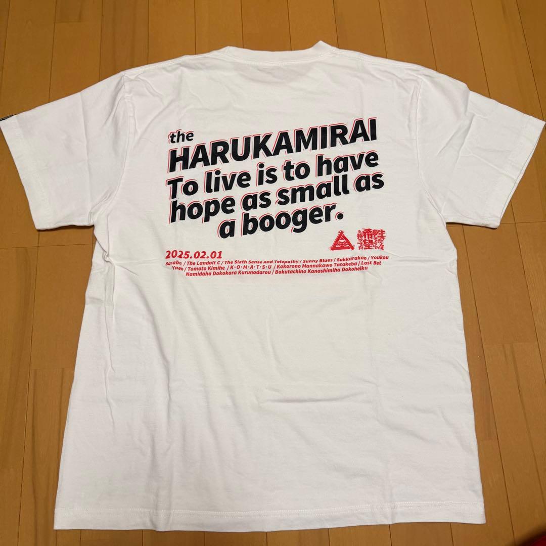 ハルカミライ　Tシャツ(限定)　Lサイズ