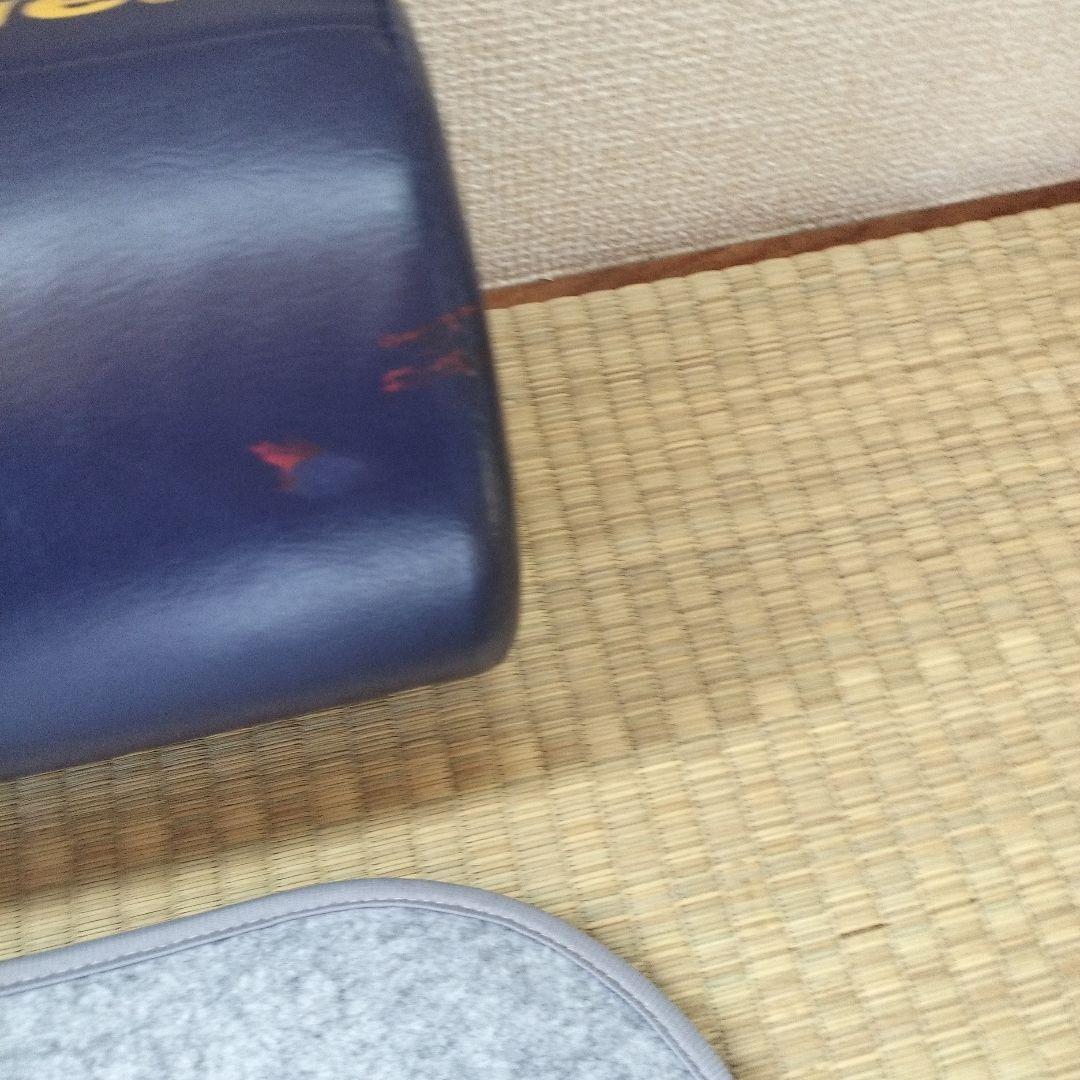 LPN ストレッチポールEX ネイビー 正規品