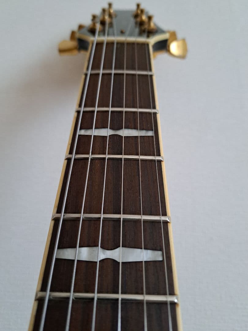 PEAVEY JF1EX セミアコ