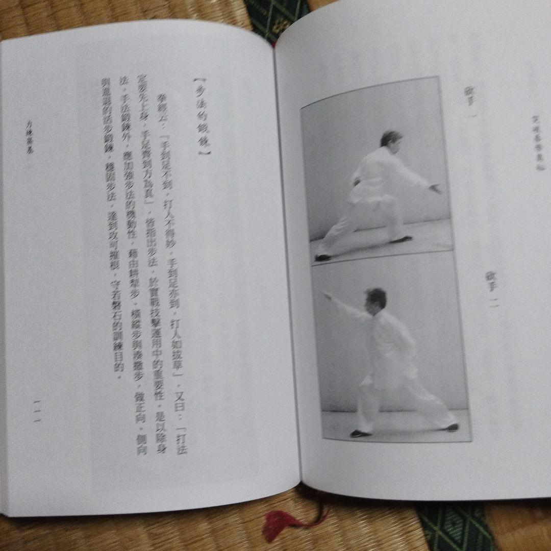 縦横内家武学・開元先天勁拳學・突破拳學奥秘 3冊セット
