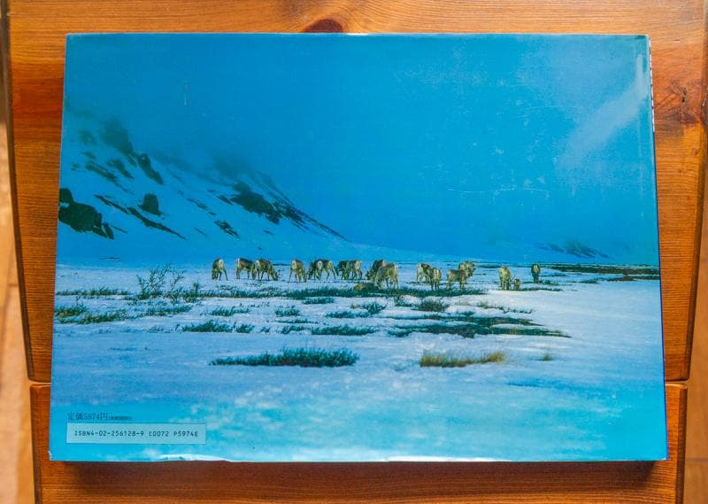 ペロンコさん専用・星野道夫 写真集　ALASKA アラスカ - 極北・生命の地図
