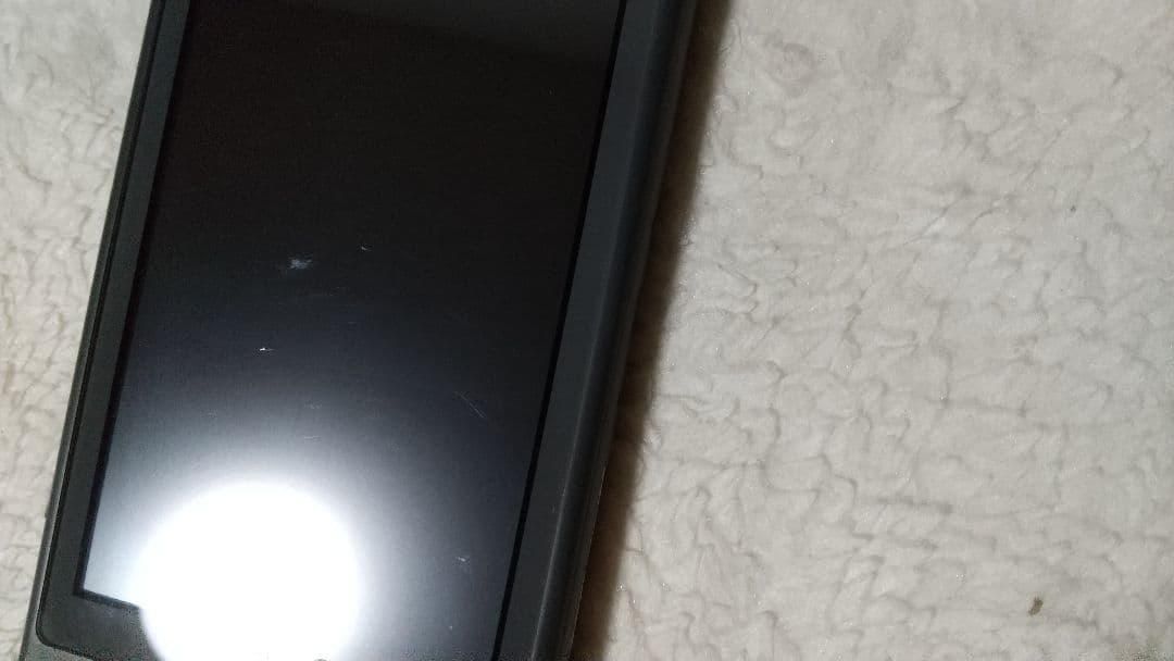 ジャンクNintendo Switch Lite グレー 本体液晶不良 通電