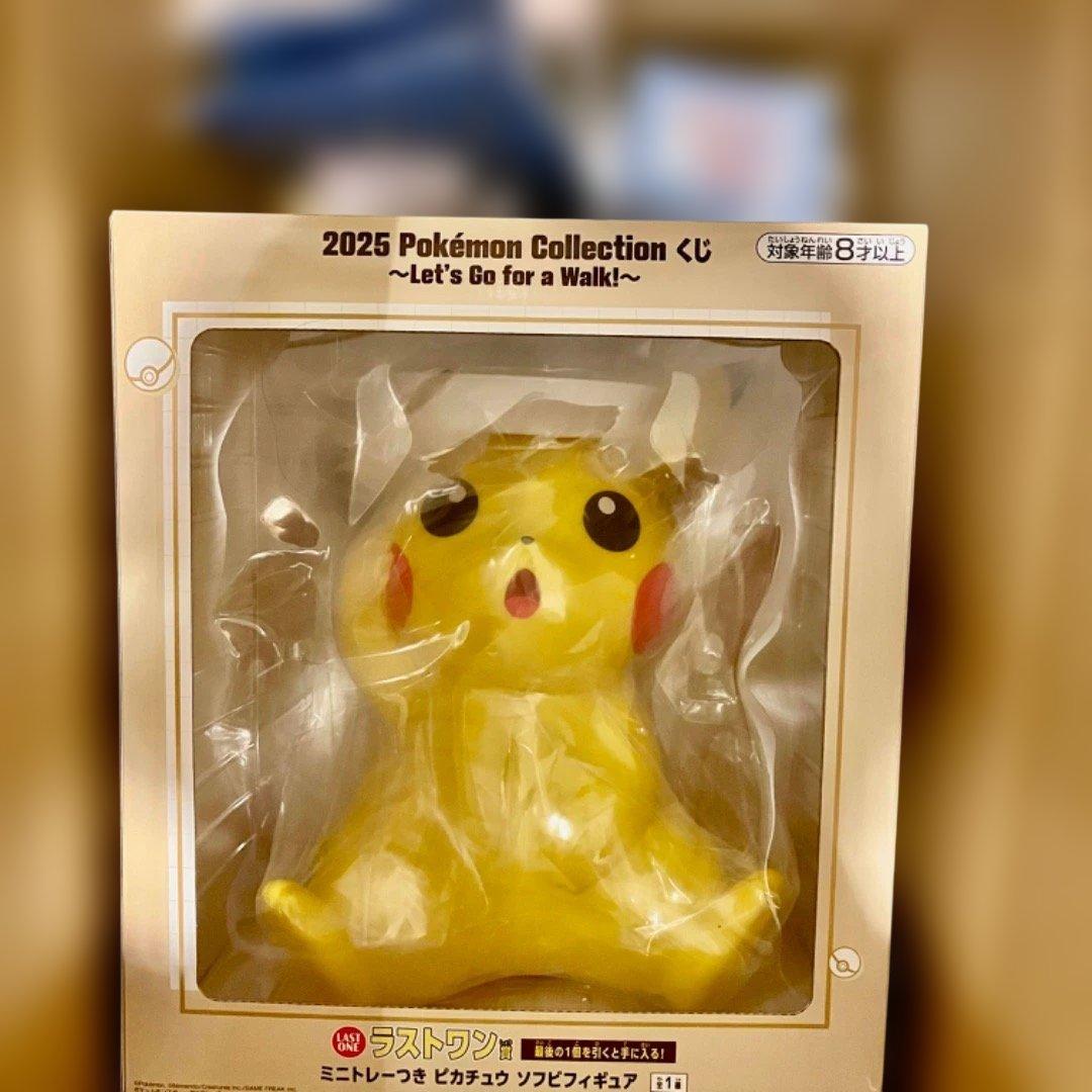 ポケモン 一番くじ 2025 ラストワン C賞 D賞