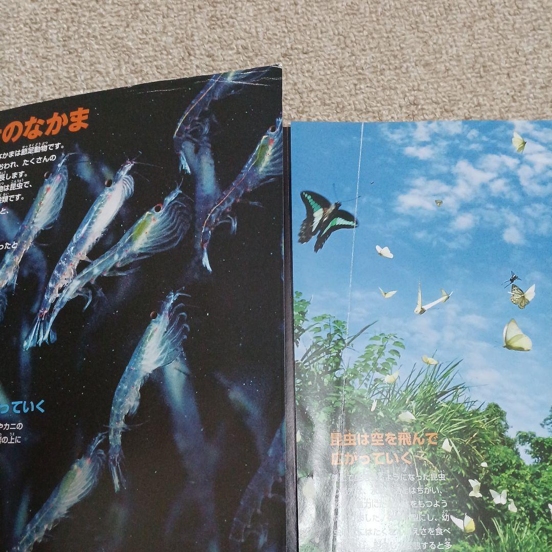 小学舘の図鑑NEO　講談社の動く図鑑MOVE　8冊セット