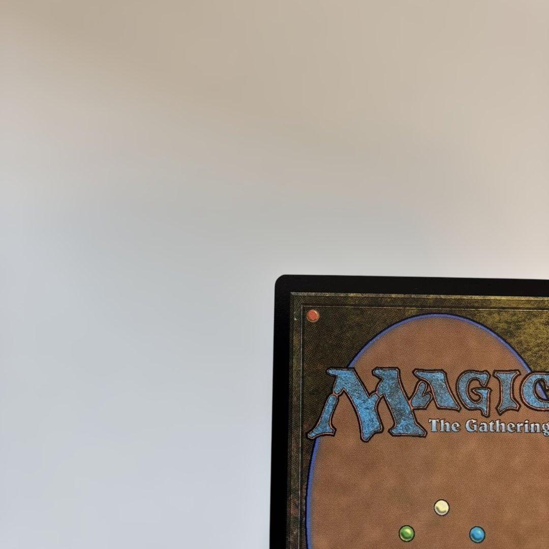 MTG 金粉の水蓮 英語　Bundle Set 特典