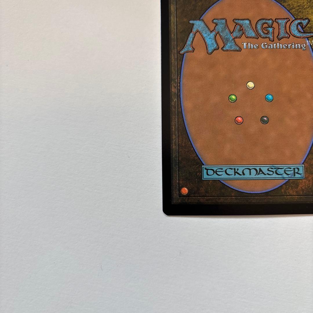 MTG 金粉の水蓮 英語　Bundle Set 特典