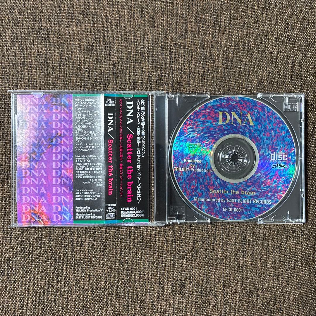 超貴重CD DNA「Scatter the brain」