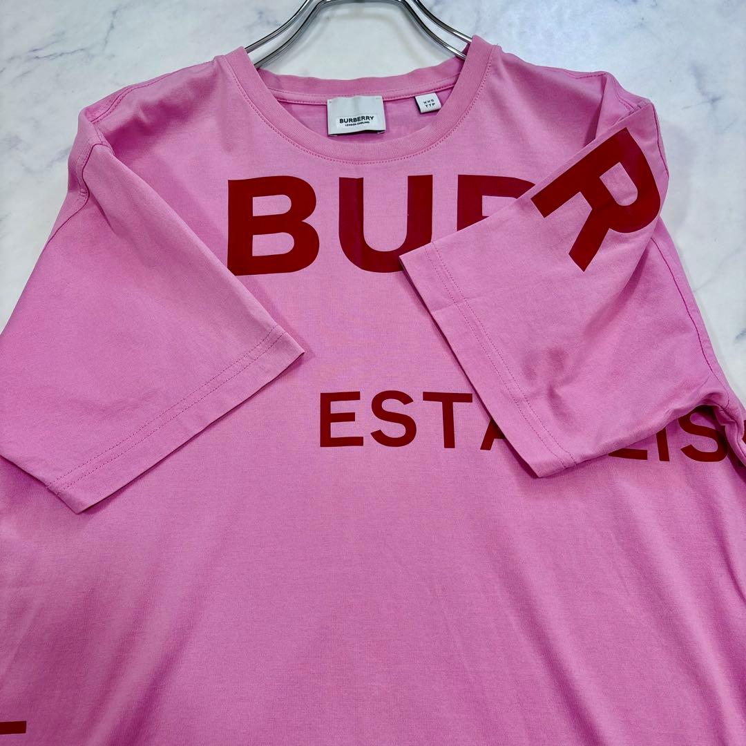 美品 バーバリー Tシャツ ホースフェリー ピンク XXS M相当 ストレッチ
