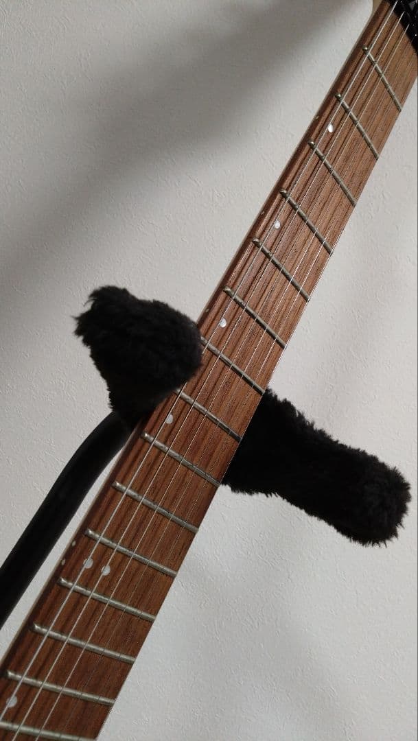 【サム】Ibanez アイバニーズ RG370ZB WB