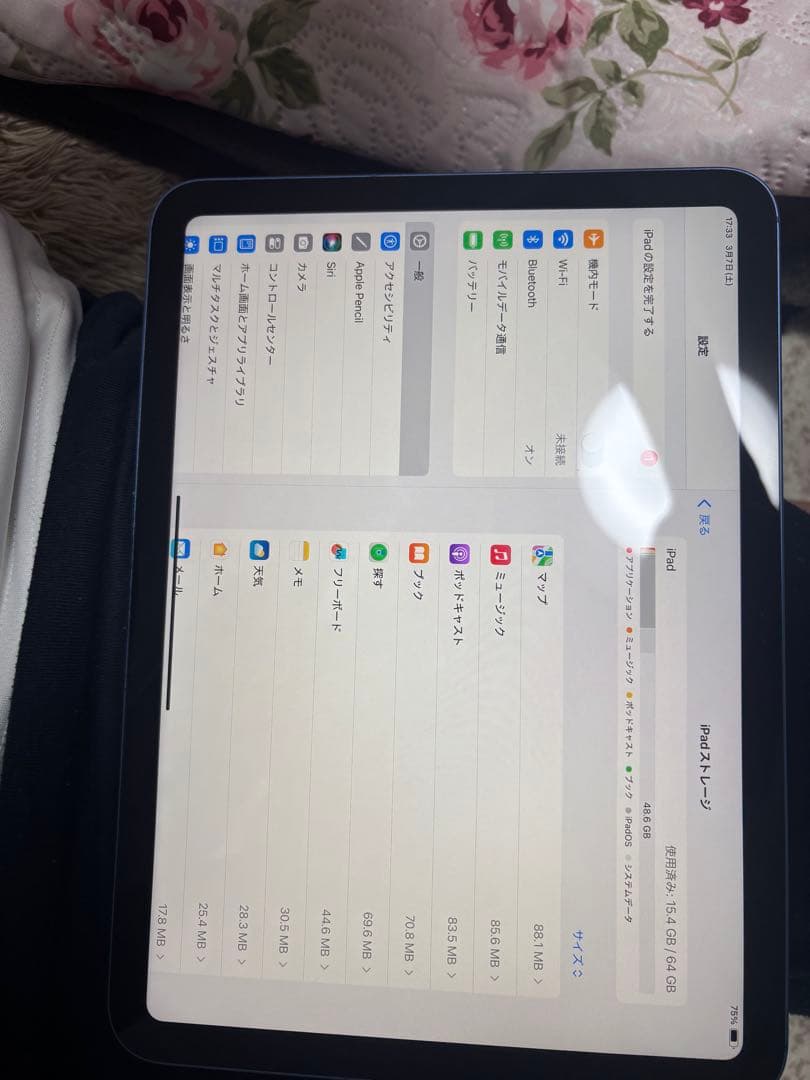 Apple iPad 「10世代」ブルー