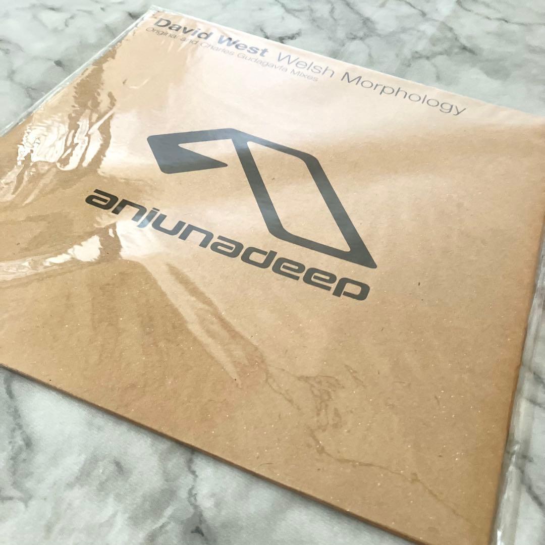 洋楽 David West - Welsh Morphology 12\" ANJUNA