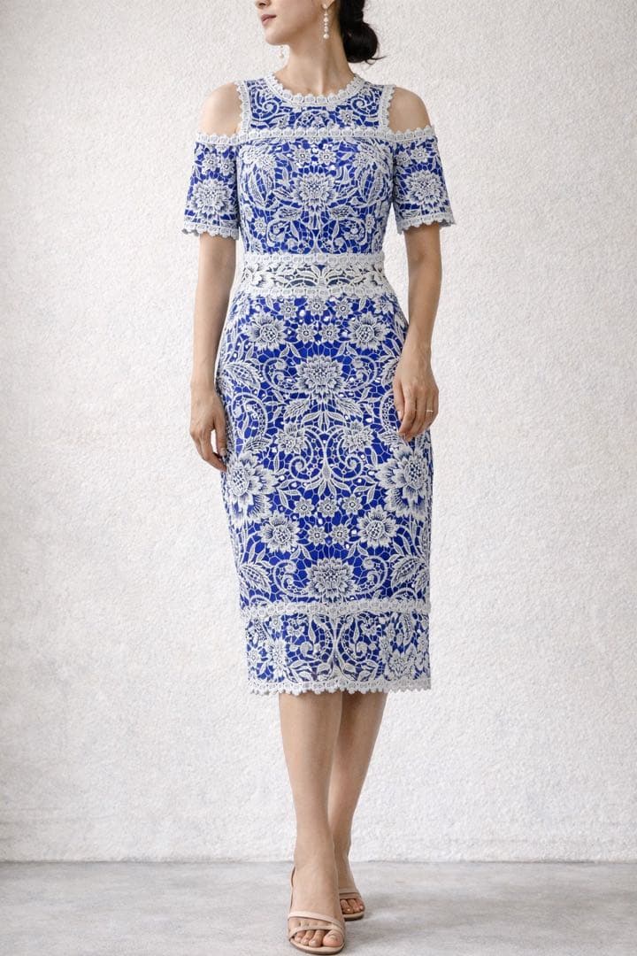 TADASHI SHOJI 総レースワンピース　綿混　パーティー　刺繍　結婚式