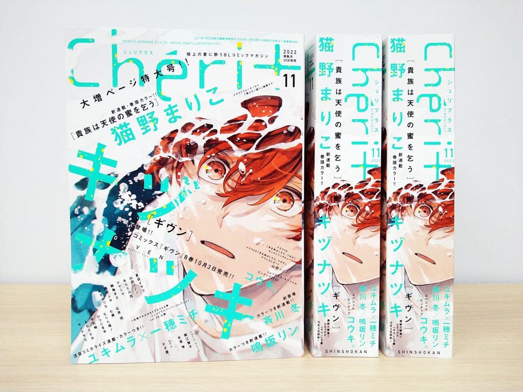 Cheri+ シェリプラス 切り抜き 表紙 ピンナップ キヅナツキ　ギヴン