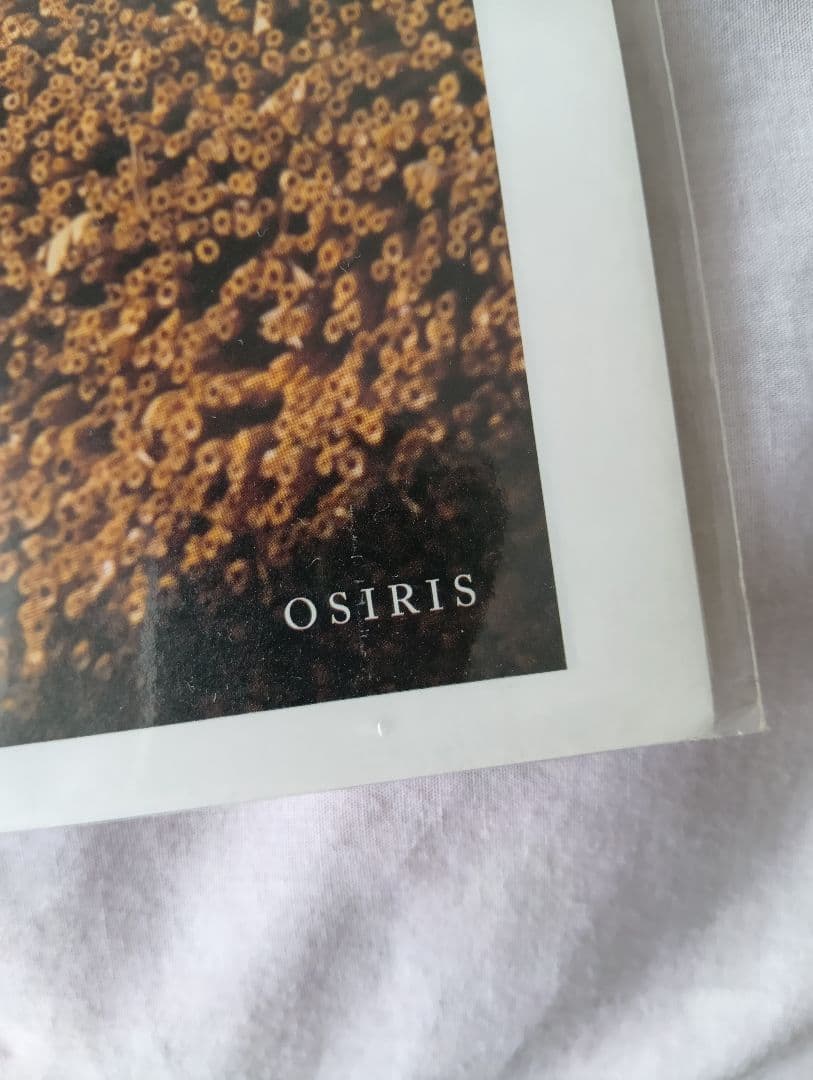 中平卓馬 タブロイド　新品 　OSIRIS　激レア