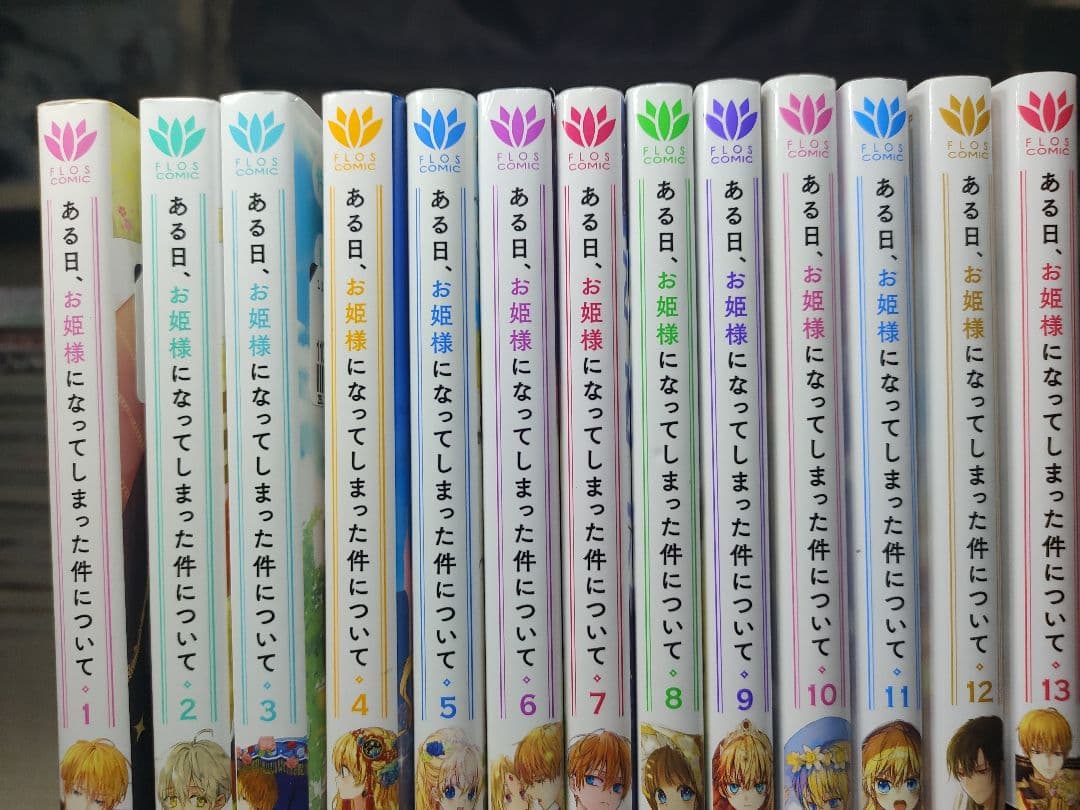 ある日、お姫様になってしまった件について 全13巻セット