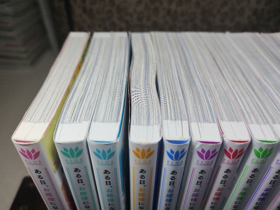 ある日、お姫様になってしまった件について 全13巻セット