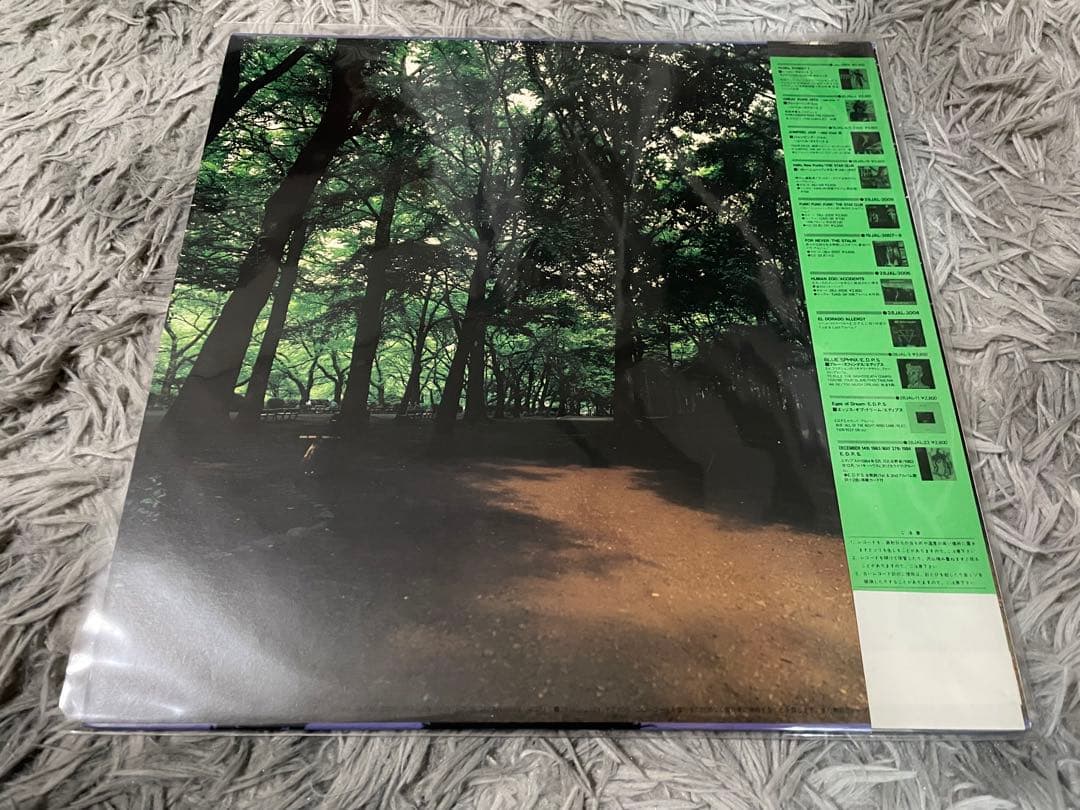 あぶらだこ 木盤 LP