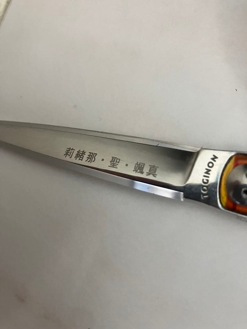 トギノンシザー