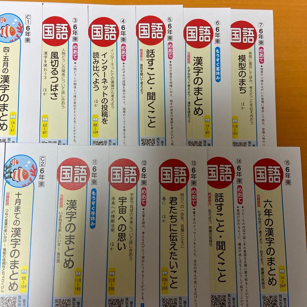 カラーテスト6年生国語　未記入　R7年度版