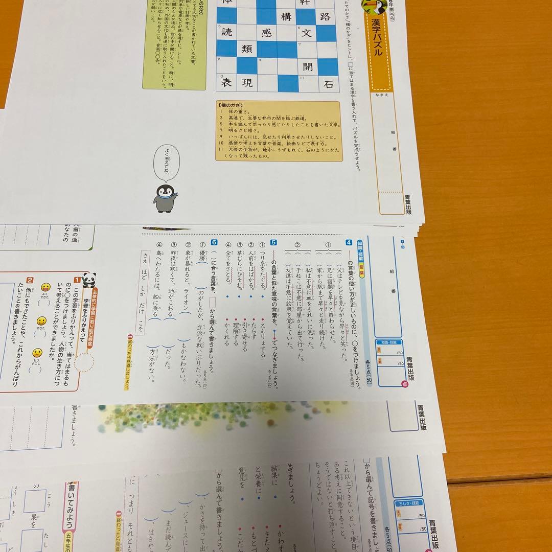 カラーテスト6年生国語　未記入　R7年度版