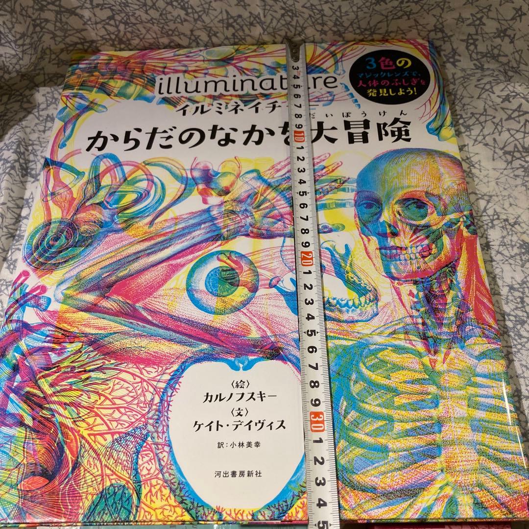 illuminature からだのなかを大冒険　イルミネイチャー　海外絵本