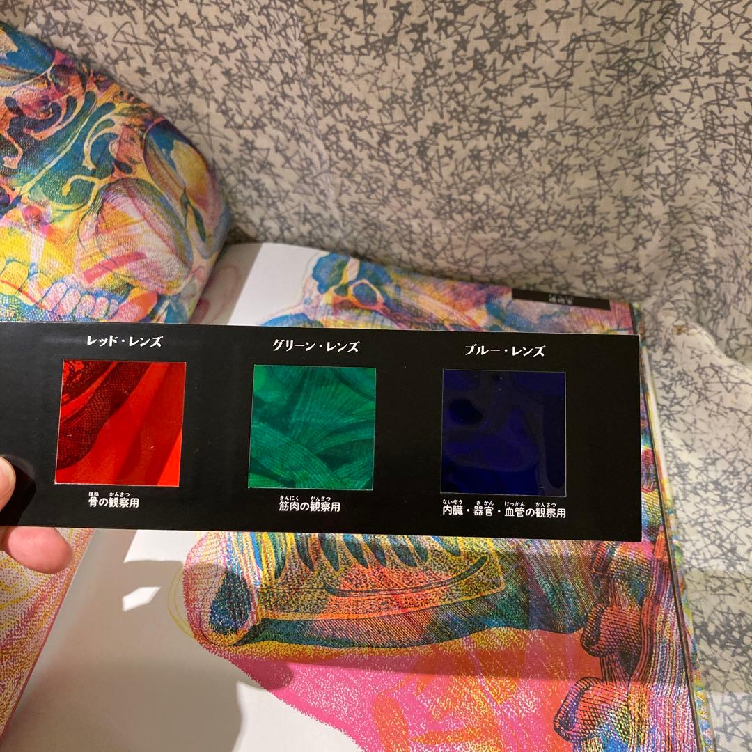 illuminature からだのなかを大冒険　イルミネイチャー　海外絵本