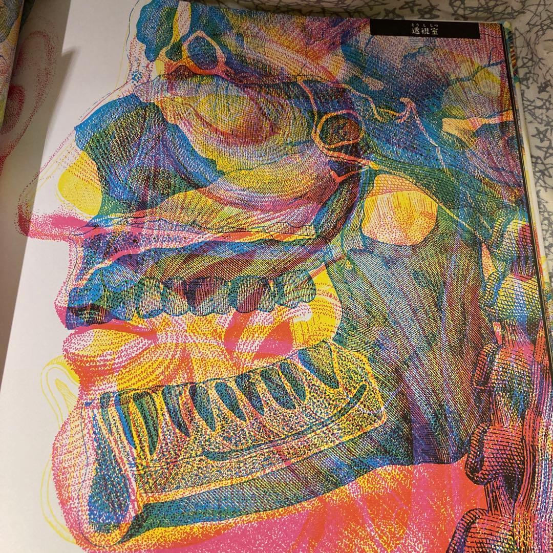 illuminature からだのなかを大冒険　イルミネイチャー　海外絵本