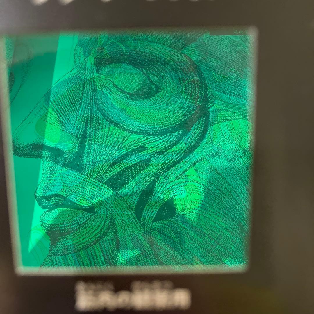 illuminature からだのなかを大冒険　イルミネイチャー　海外絵本