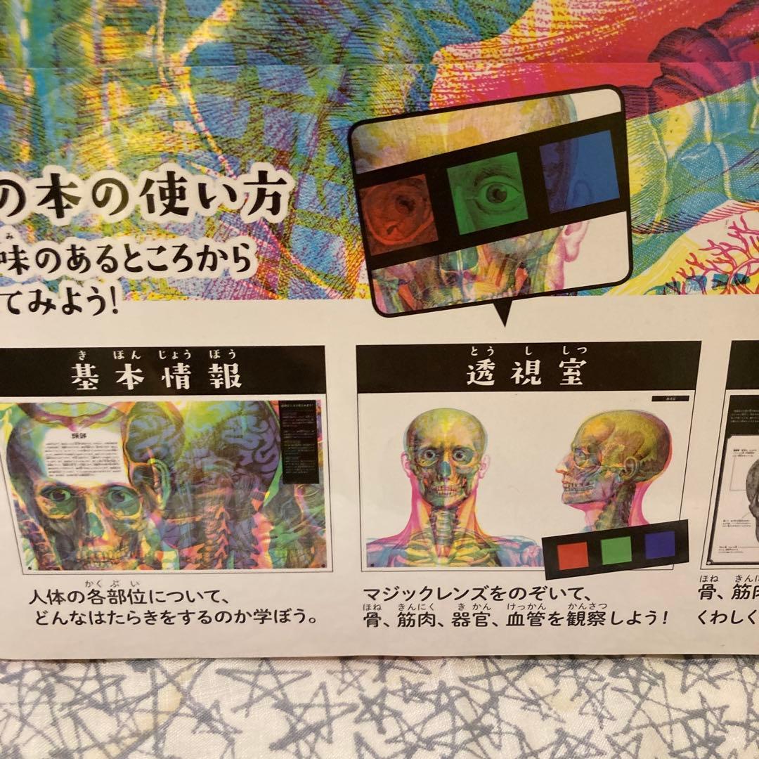 illuminature からだのなかを大冒険　イルミネイチャー　海外絵本