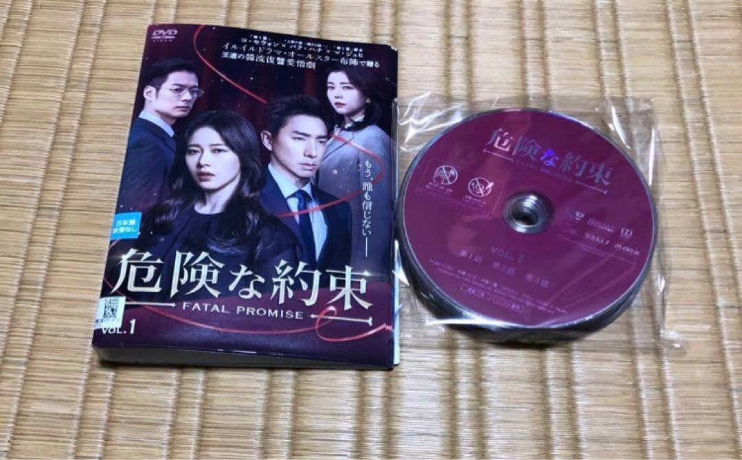 DVD 危険な約束 コ・セウォン パク・ハナ 韓国ドラマ