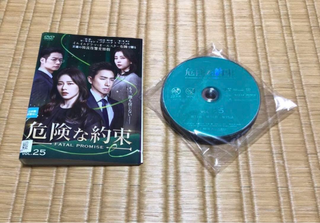 DVD 危険な約束 コ・セウォン パク・ハナ 韓国ドラマ