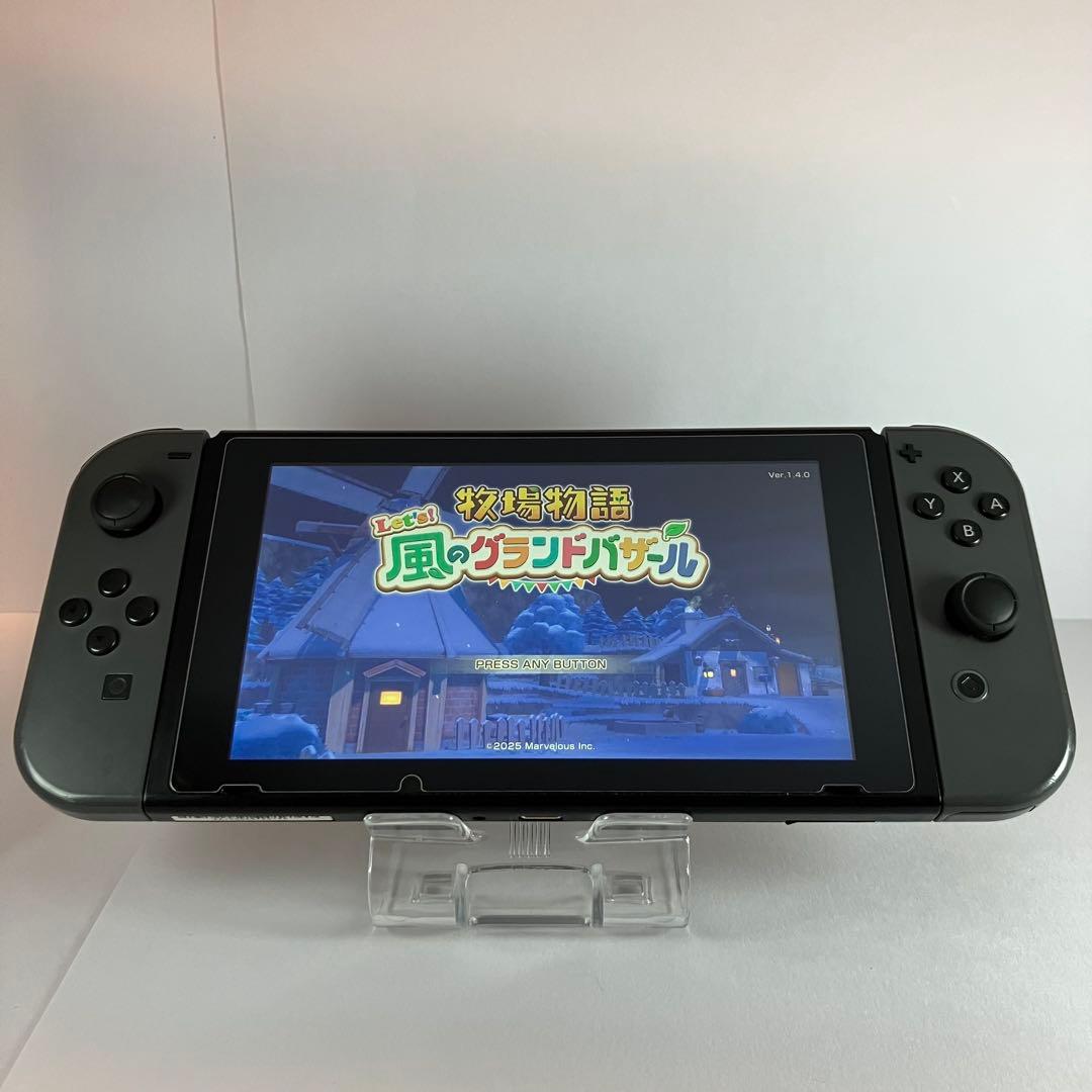 Nintendo Switch グレー 本体 【テレビモードプレイ○】